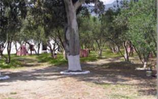 campsite plakias crete